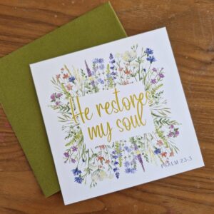 He Restores Psalm 23:3